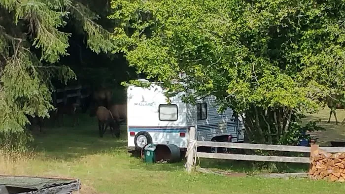 Last Chance Camp Equine Rest Stop 7