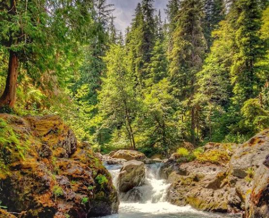 Sol Duc River