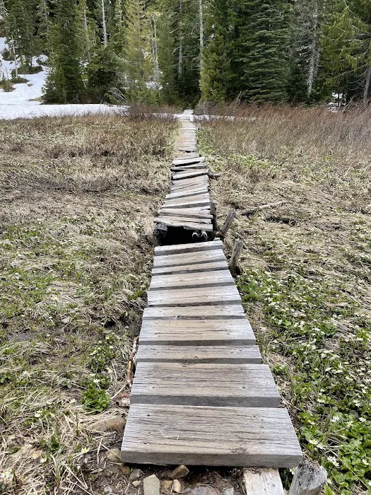 Deer Lake 0