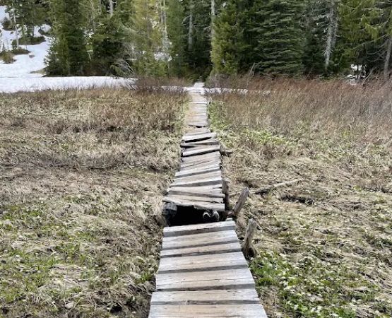 Deer Lake