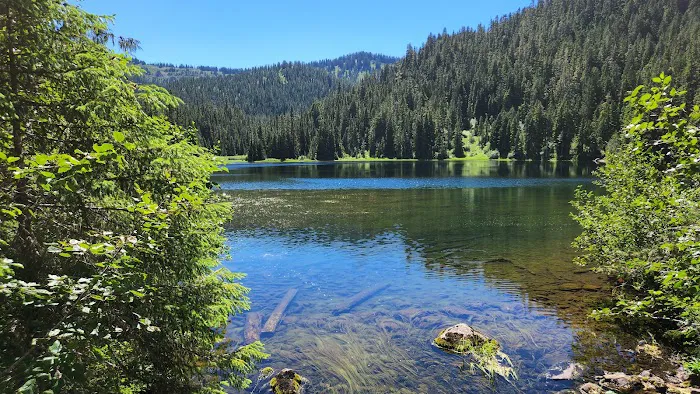 Deer Lake 3