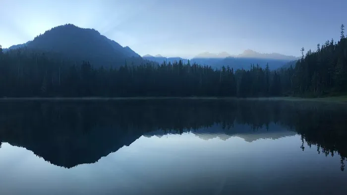 Deer Lake 5