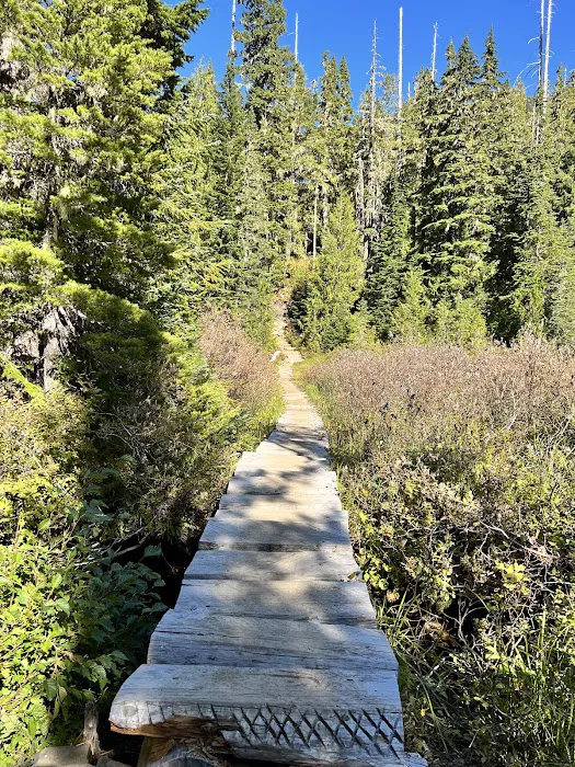 Deer Lake 9