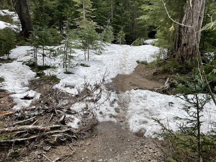 Deer Lake 6