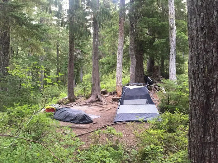 Deer Lake 7