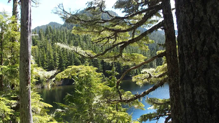 Deer Lake 2