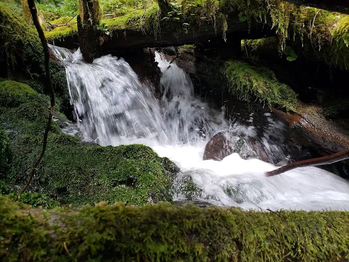 Mount Tom Creek 8