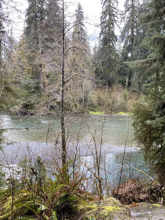 Mount Tom Creek 9