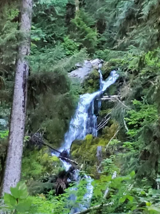 Mount Tom Creek 1