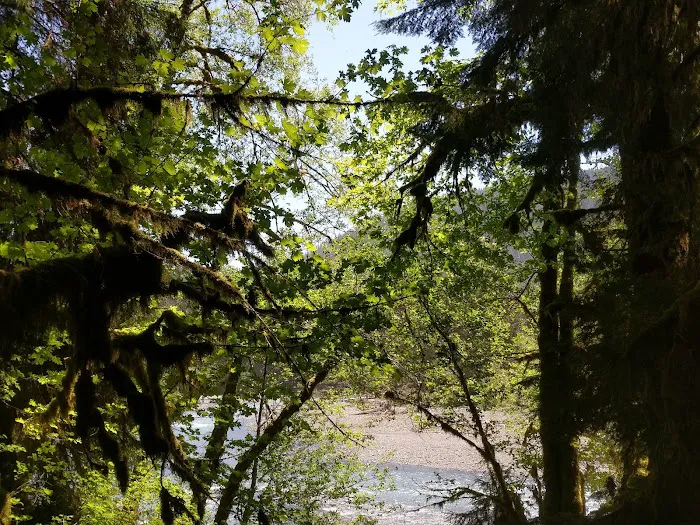 Mount Tom Creek 4