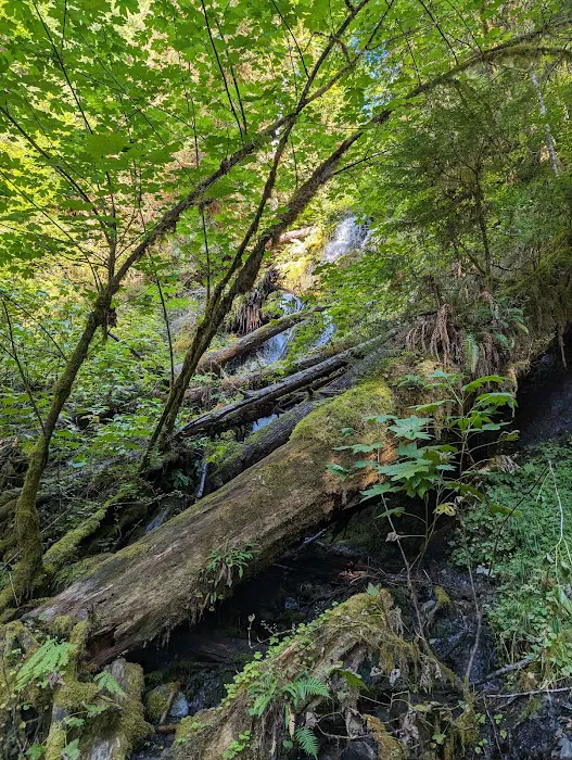 Mount Tom Creek 0