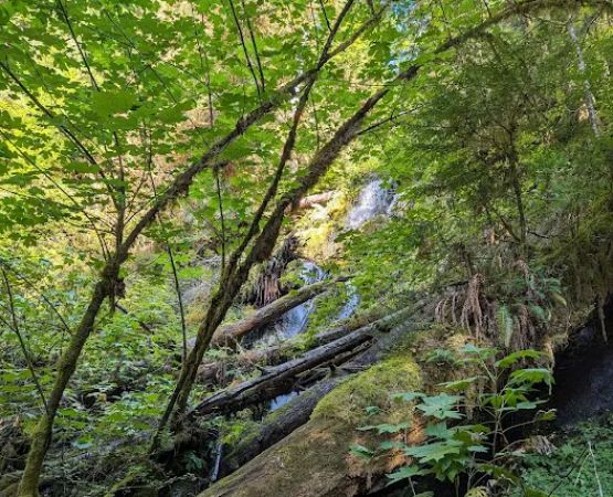 Mount Tom Creek