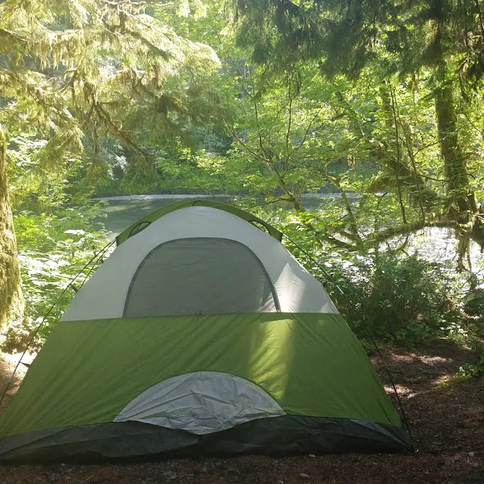Hoh Oxbow Campground 4