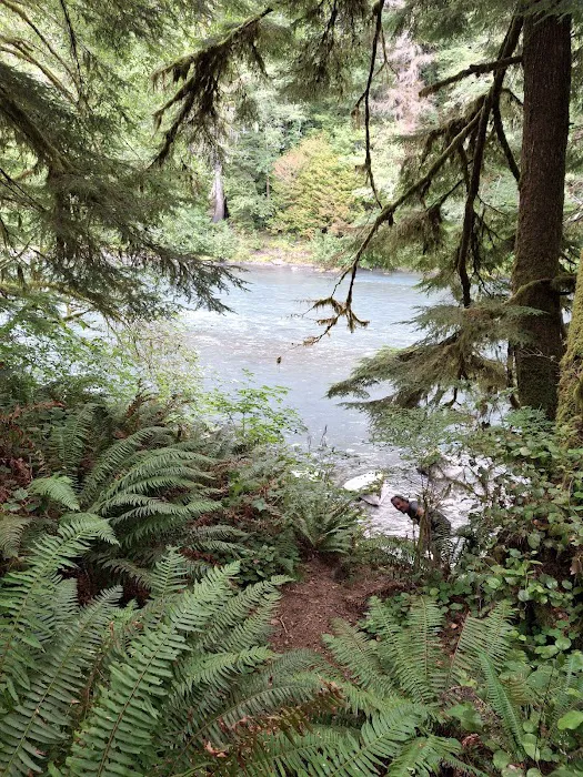 Hoh Oxbow Campground 0