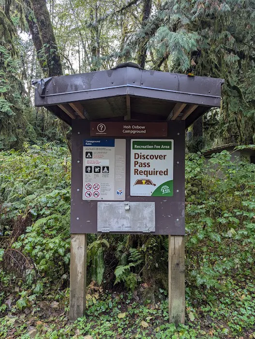 Hoh Oxbow Campground 3