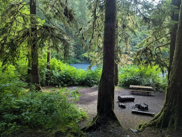 Hoh Oxbow Campground 2