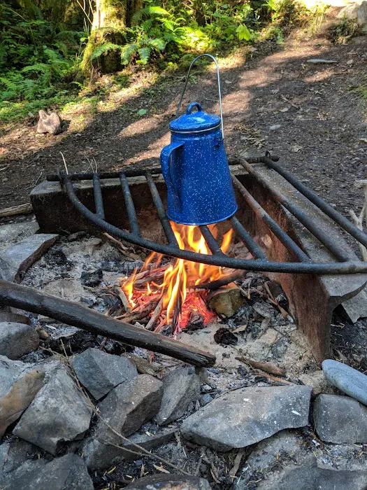 Hoh Oxbow Campground 8