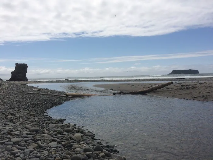 Mosquito Creek 4