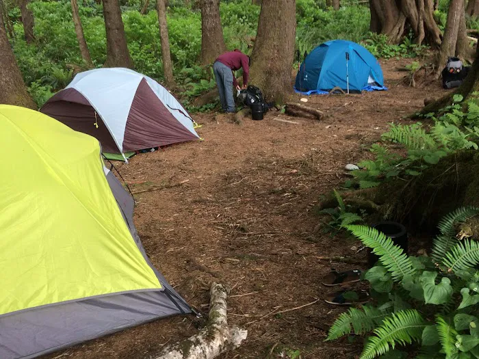 Mosquito Creek 9