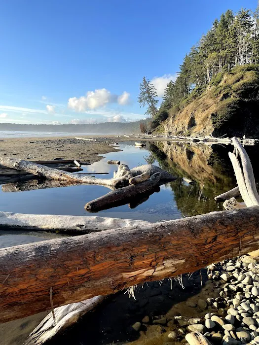 Mosquito Creek 8