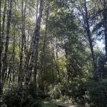 Shangri La Push Campground and RV