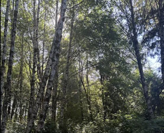 Shangri La Push Campground and RV