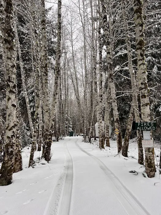 Wandering Woodlands 5