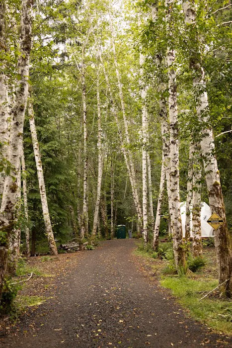 Wandering Woodlands 7