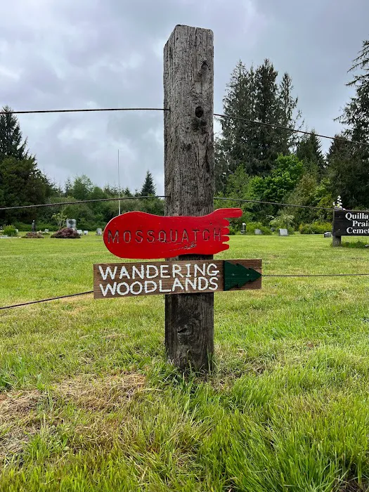 Wandering Woodlands 6