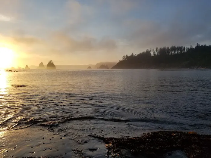 Strawberry Point 6