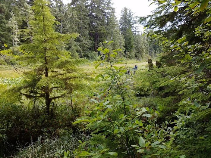 Mora Campground 6