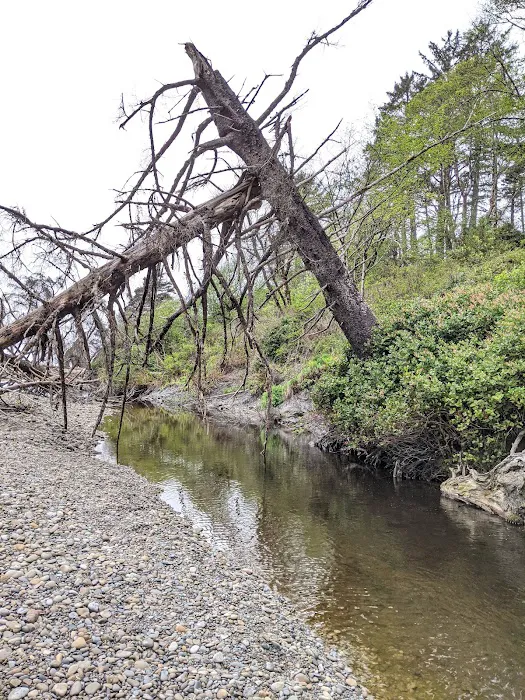 Cedar Creek 7