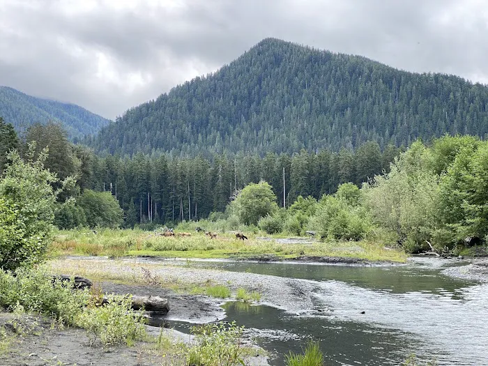 Hoh Rain Forest Campground 3