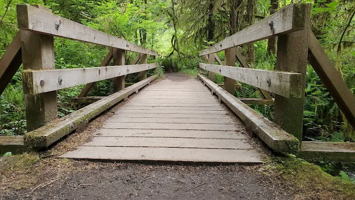 Hoh Rain Forest Campground 2