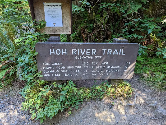 Hoh Rain Forest Campground 7
