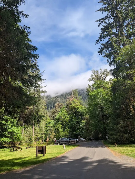 Hoh Rain Forest Campground 0