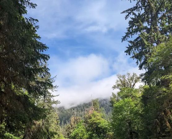 Hoh Rain Forest Campground