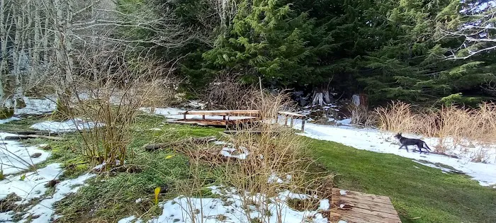 Yahoo Lake Campground 4