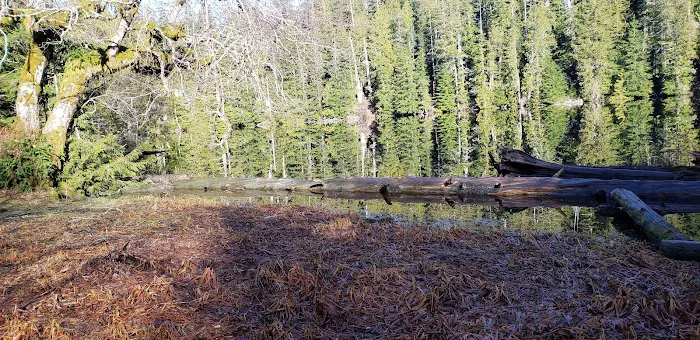 Yahoo Lake Campground 2