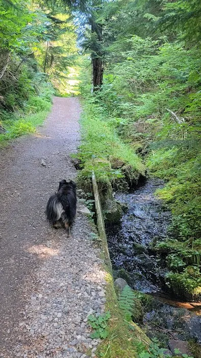 Yahoo Lake Campground 9