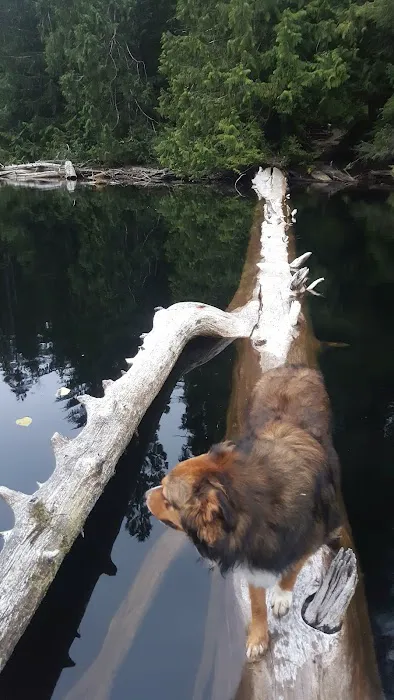 Yahoo Lake Campground 0
