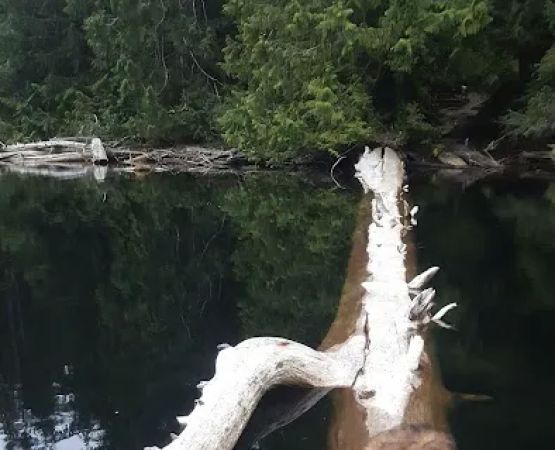 Yahoo Lake Campground
