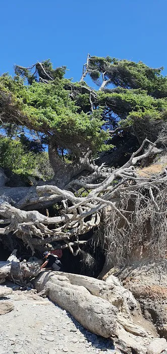 Kalaloch Campground Rv Dump Station 8