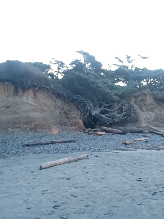Kalaloch Campground Rv Dump Station 7
