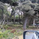 Kalaloch Campground Rv Dump Station