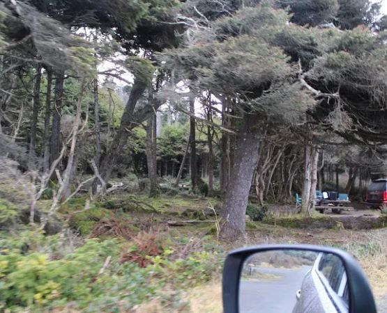 Kalaloch Campground Rv Dump Station