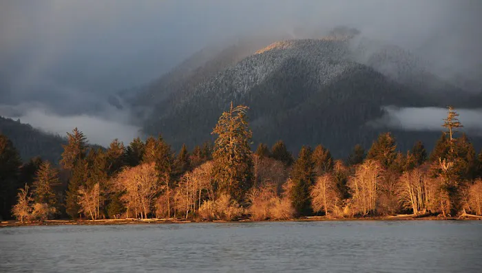 Gatton Creek Campground 5