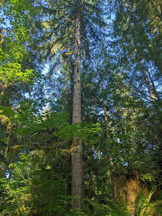 Willaby Campground 5