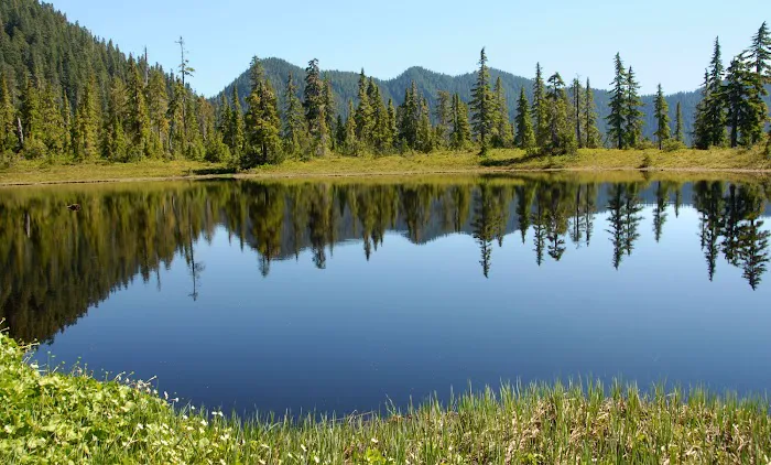 Three Lakes Campground, Olympic National Park 0