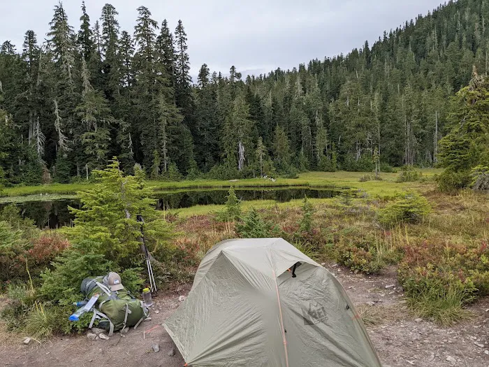 Three Lakes Campground, Olympic National Park 2